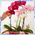 100Pcs Orchid Clips Butterfly Ladybug Plant Clips Dragonfly Orchid Support Clips Portable Cute Vine Clips for Support Garden Plant Flower Vine, Mix Color