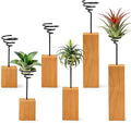 3 Pack Air Plant Holder with Wooden Base, Metal Spiral Tillandsia Stands for Desktop Shelf Display, Decorative 3 Sizes Air Plant Holder for Home Office and Housewarming Gift