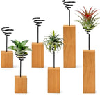 3 Pack Air Plant Holder with Wooden Base, Metal Spiral Tillandsia Stands for Desktop Shelf Display, Decorative 3 Sizes Air Plant Holder for Home Office and Housewarming Gift