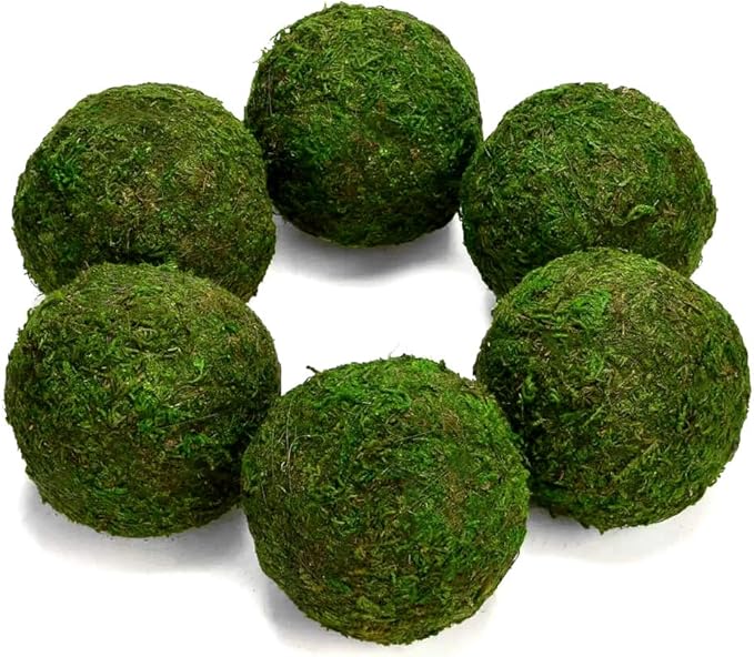 Farmoo Moss Balls Preserved All Natural, 3.5"-Set of 6 (Natural Green)