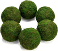 Farmoo Moss Balls Preserved All Natural, 3.5"-Set of 6 (Natural Green)