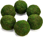Farmoo Moss Balls Preserved All Natural, 3.5"-Set of 6 (Natural Green)