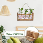 Plant Terrarium Propagation Stations Hydroponics Home Garden Decoration Gift for Women with Wooden Stand Heart Shaped Colored Glass Vase