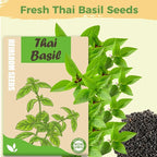 Basil Seed Pods Kit Hydroponic - Refill Herb Pod for All Indoor Herb Garden, 8 Grow Pods with Seeds of Thai Basil & Plant Food, Compatible with All Hydroponics Growing Systems