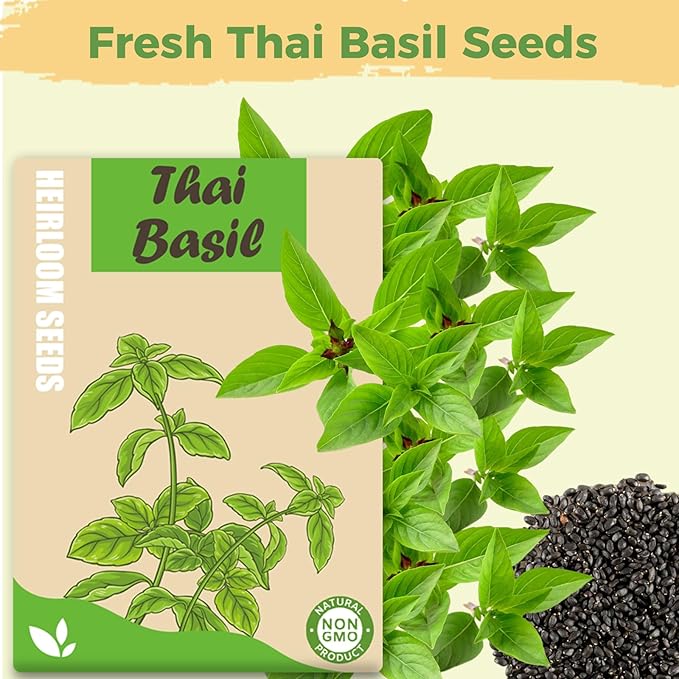 Basil Seed Pods Kit Hydroponic - Refill Herb Pod for All Indoor Herb Garden, 8 Grow Pods with Seeds of Thai Basil & Plant Food, Compatible with All Hydroponics Growing Systems