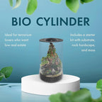 SubstrateSource Bio Cylinder - Glass Plant Terrarium Kit - Glass Terrarium w/LED Grow Light, Adjustable Ventilation Lid, Substrate, Moss & Accent Rocks - Bio Cylinder 150