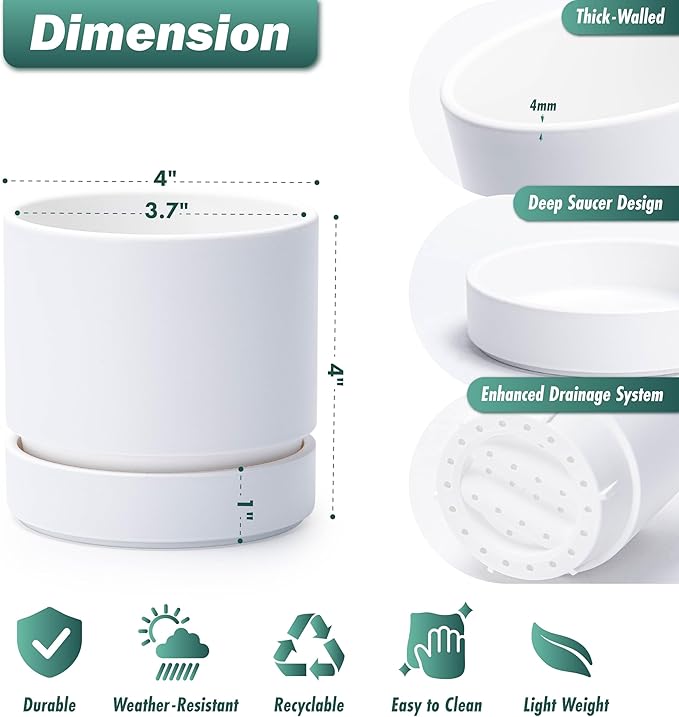 Phoenix Vine 4 Inch Planter Pot with Drainage Hole & Saucer, Deep Water Catch Tray, Straight Cylindrical Round Pot for Plants, Matte White, Pack of 1, 23-B-R-1