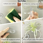 Aogigigio Air Plant Holder - 12 Pcs Acrylic Air Plants Hanger Wall Holders for Live Tropical Plant Home Office Decoration Supplies, Plants Not Included