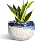 Ceramic Planter 8 Inch - Ceramic Plant Pots Indoor with Drainage Hole and Plug, Decorative Planters for Indoor Outdoor Plants, Modern Flower Pots, Patio Decor, Plant Lover Gifts, Beige-Blue