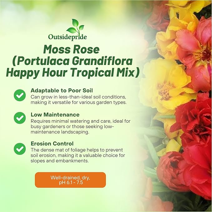 Outsidepride Tropical Mixed Moss Rose Seeds - 500 Pcs Annual, Drought & Heat Tolerant, Pollinator Friendly Ground Cover Seeds for Planting w/Vibrant Blooms & Succulent Foliage, Ideal for Xeriscaping