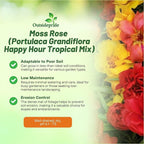 Outsidepride Tropical Mixed Moss Rose Seeds - 500 Pcs Annual, Drought & Heat Tolerant, Pollinator Friendly Ground Cover Seeds for Planting w/Vibrant Blooms & Succulent Foliage, Ideal for Xeriscaping