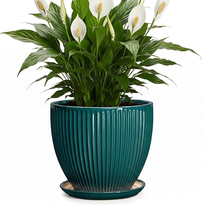 Ceramic Planter, 8 Inch Plant Pots with Drainage Hole and Saucer, Round Flower Pots for Indoor Plants, Modern Decorative Pot for Plants, Bathroom Decor, Gifts for Plant Lovers, Blackish Green