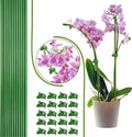 22Pcs Plant Stakes with 22 Pcs Clips, 15.8 inches Bendable Green Plant Sticks for Indoor and Outdoor Plants,Potted Plants,Single Stem Flower Support for Orchid Peony Rose (22, Green)