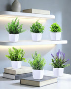 Clearain 6 Pack Small Fake Plants Mini Artificial Potted Plants for Table Desk Home Laundry Room Bathroom Office Decoration (White)