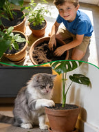 Augshy 11.8 Inch Plant Pot Grids, 4 PCS Plastic Cuttable Plant Pot Soil Covers Soil Digging Avoid from Animals Plant Protection for Flower Pots Indoor and Outdoor Garden Supplies