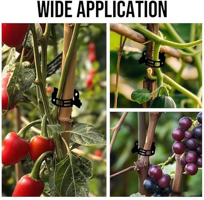 Plant Support Clips Plastic Tomato Clips Plant Clips for Climbing Plants Clear Grape Tomato Vine Trellis Clips for Garden Vegetables Plants Flower Grow Fixing (300, black)