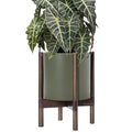 D'vine Dev Planter Pot with Stand - 10 Inch Plastic Cylinder Flower Pot with Wood Planter Holder for Indoor, Olive Pot + Walnut Color Stand, 55-C-L-3