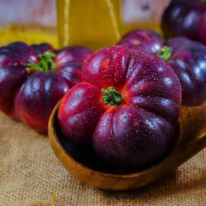 Dwarf Cherokee Tomato Seeds for Planting, 280+pcs Organic Tomato Vegetable Seeds Plants, Non-GMO Heirloom Vegetables Plants Fresh Food Home Garden for Outdoors Indoors