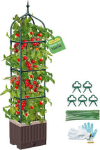 Raised Garden Bed Planter Boxes with Trellis,1pcs 70.9" Self-Watering Tomato Planter Boxes with Trellis for Climbing Vegetables Plants Flowers Tomato,Use for Indoor Outdoor (Brown)