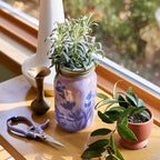 Modern Sprout Mason Garden Jar + Replant Kit - Self-Watering Hydroponics Growing System Kit w/Organic Herb Seeds - Jar Planter for Indoor Herb Garden - Seed Starter - Home Decor Gifting - Lavender