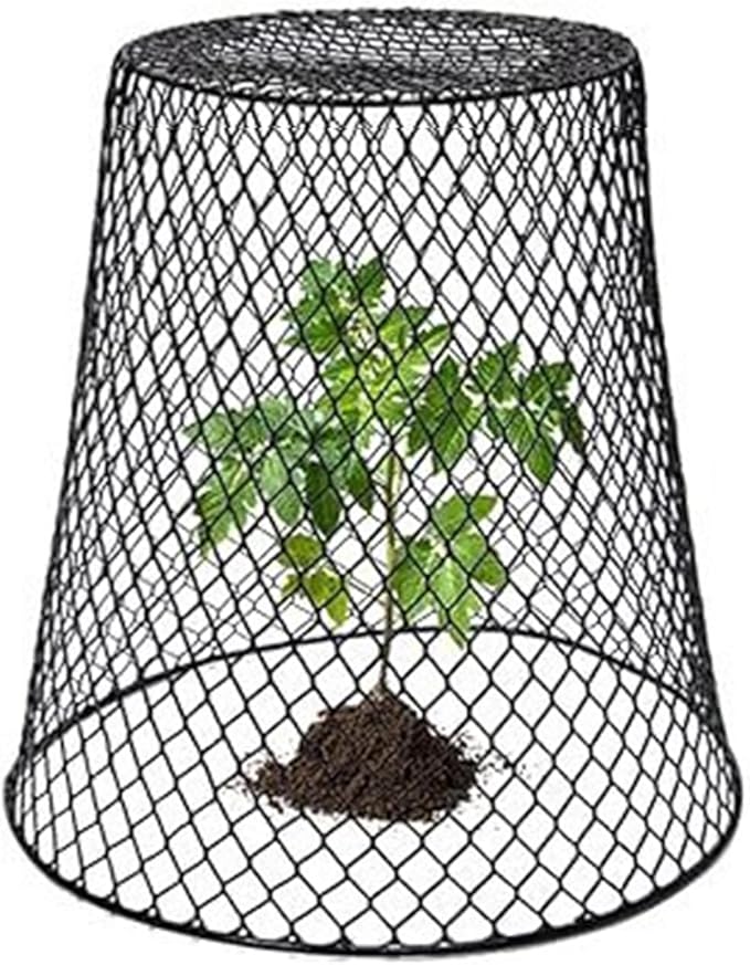 Wire Cloche Plant Covers for Animals, Garden Netting Metal Plant Protectors for Animals for Keeping Bunnies Chicken Squirrels Birds, Wire Cloche for Plants Shrubs Vegetables Flowers Black 1pc