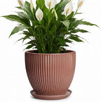 8 Inch Ceramic Flower Pots, Plant Pots Indoor with Drainage Hole and Saucer, Round Flower Pot for Indoor Plants, Decorative Modern Planter, Garden House Decor, Gardening Gifts, Rust Red