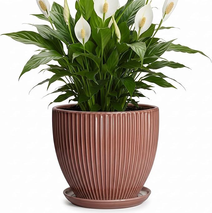 8 Inch Ceramic Flower Pots, Plant Pots Indoor with Drainage Hole and Saucer, Round Flower Pot for Indoor Plants, Decorative Modern Planter, Garden House Decor, Gardening Gifts, Rust Red