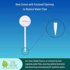 Little Green Leaf Automatic Plant Watering Globes Self Watering Planter Inserts (Set of 2) | Hands Free Clear Glass Bulbs | Planter Spikes to Support Indoor & Outdoor Plant Health (200ml)