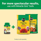 Miracle-Gro Shake 'N Feed All Purpose Plant Food - Outdoor and Indoor Plant Food for In-Ground and Containers, Feeds for up to 3 Months, 1 lb.