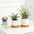 GreenShip Planter Set of 2 (10.3'' & 8.3'') – Dual-Use Self-Watering or Traditional Indoor Cylinder Flower Pots with Saucers & Side Drainage – Durable Lightweight Clay & Resin Blend (W/T)