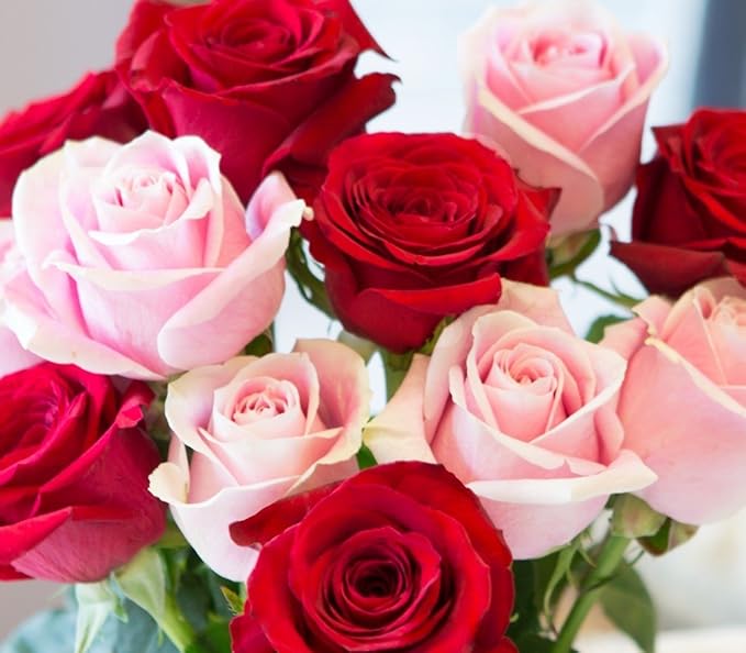 KaBloom - Cupid's Roses Romantic Bouquet of 9 Red Roses and 9 Pink Roses With Vase- Fresh Flowers for Birthday, Valentine's & Mother's Day