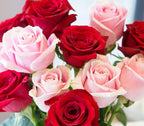 KaBloom - Cupid's Roses Romantic Bouquet of 9 Red Roses and 9 Pink Roses With Vase- Fresh Flowers for Birthday, Valentine's & Mother's Day