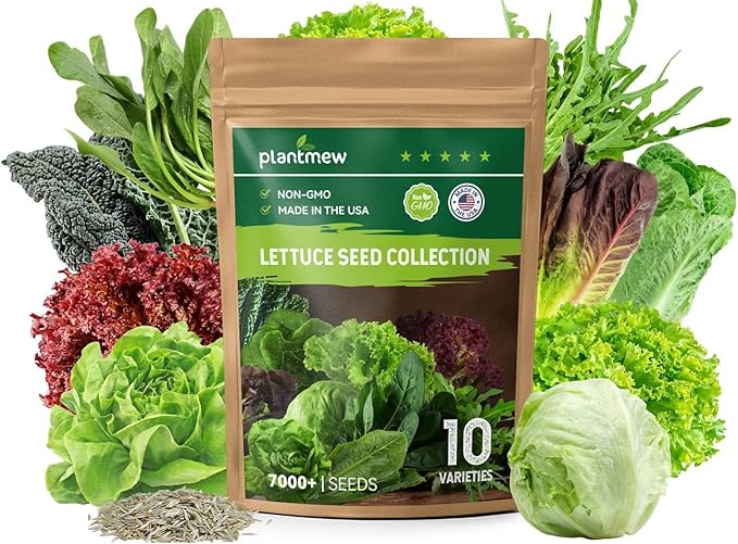Heirloom Lettuce Seeds - 10 Varieties, Non-GMO Seeds for Planting - Includes Spinach, Kale, Arugula, Romaine, Iceberg, Buttercrunch & More, Home Garden & Hydroponic Seeds
