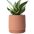 D'vine Dev 6 Inch Terracotta Beaded Planter Pot - Flower Pot with Drainage Hole and Saucer for Indoor Succulent Plants or Flowers, Terracotta, 27-C-X-7
