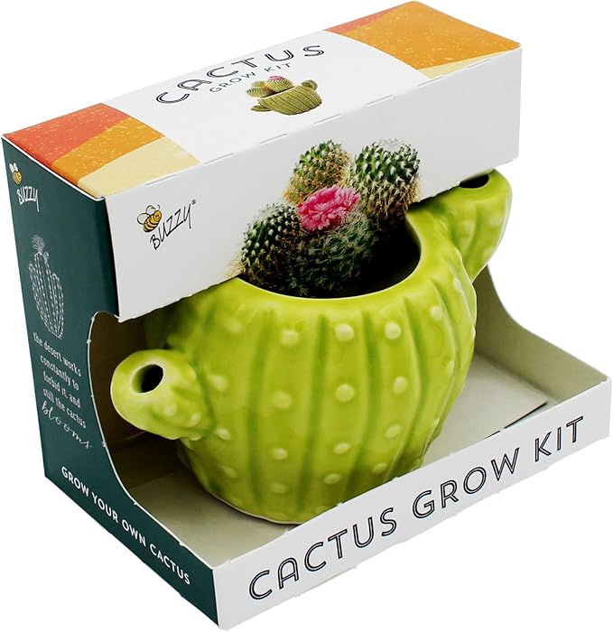 BUZZY Seeds 4pk Mini Cactus Grow Kit with Ceramic Planter, Succulent Seeds, Growing Medium, Easy Instructions, Indoor Gardening Gift for Beginners, Birthdays, Housewarming and Home or Office Decor