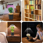 Full Spectrum Mini Grow Light with Self-Watering Planter - Adjustable Height Desk Pot for African Violet, Venus Fly Trap, Succulents, Small Indoor Plants, Office Home Decor