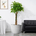 UOUZ 12inch Large Plant Pot, Modern Plastic Planter with High Driange Holes and Saucer for Indoor Outdoor Garden Plants and Flowers, White Speckles