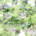 Bunmery 4 pcs Iridescent Window Propagation Stations, Easy to Install Plant Propagation Bulbs with Suckion Cups, No Nails Wall Hanging Planter Propagation Station, Glass Plant Terrarium Vase
