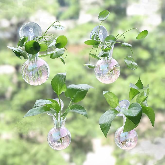 Bunmery 4 pcs Iridescent Window Propagation Stations, Easy to Install Plant Propagation Bulbs with Suckion Cups, No Nails Wall Hanging Planter Propagation Station, Glass Plant Terrarium Vase