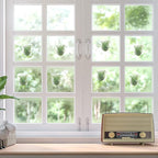Jetec 12 Pcs Acrylic Air Plants Holder Hanger with Mounting Tape for Hanging Air Plants on Glass Display Home Decoration