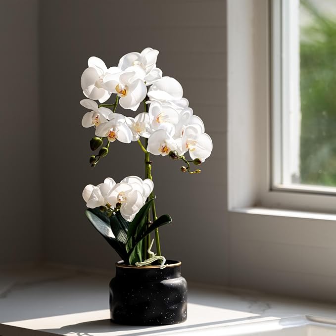 Avoeco Artificial Real Touch Orchid Plant – 20″ Faux Phalaenopsis in Pot – Highly Realistic Silk Orchid Flower & Leaf Texture for Home, Office,Shop & Wedding Décor (1 White, 20”)