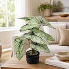16'' Fake Plant Tall Artificial Caladium Plants Indoor with Black Planter Design, for Home Living Rooms Patios Porches Bathrooms Outdoor Decor (Green)