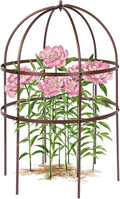 1 Pcs Jardin Bird Cage Plant Support 24" H Large Sturdy Grow-Through Flower Support Peony Cage Climbing Plant Support Trellis Sculptural Garden Decor for Perennial Flowers (Vintage Gold)