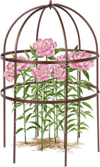 1 Pcs Jardin Bird Cage Plant Support 24" H Large Sturdy Grow-Through Flower Support Peony Cage Climbing Plant Support Trellis Sculptural Garden Decor for Perennial Flowers (Vintage Gold)
