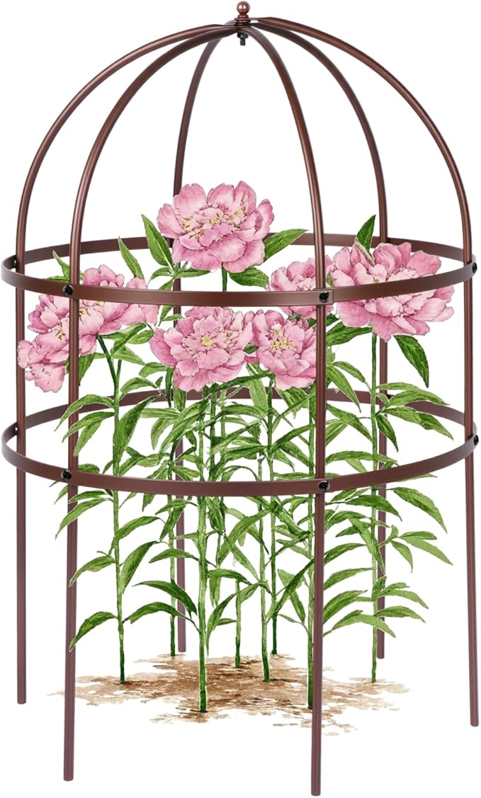 1 Pcs Jardin Bird Cage Plant Support 24" H Large Sturdy Grow-Through Flower Support Peony Cage Climbing Plant Support Trellis Sculptural Garden Decor for Perennial Flowers (Vintage Gold)
