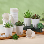 Ziliny 30 Pcs 3 Inch Self Watering Pots Self Watering Planters for Indoor Planters Plastic Garden Flower Pots with Level Indicator Vents for Herbs