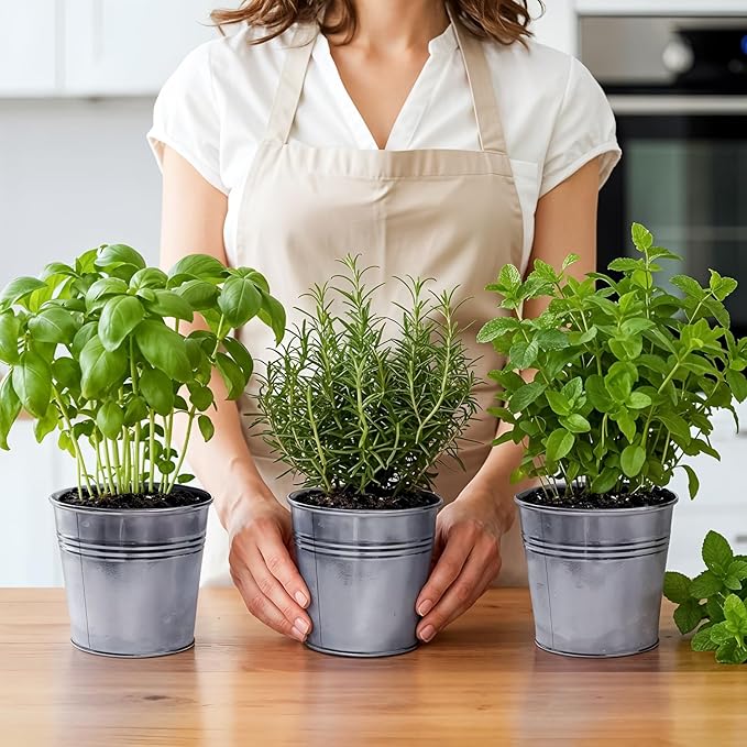Plexon Herb Planter Indoor Garden Set of 3 with Tray, Metal Herb Pots for Indoor Plants, Round Kitchen Garden Kit Ideal for Windowsill Planter or Countertop, Galvanized Steel