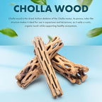 SubstrateSource Natural Cholla Wood - Driftwood for Aquariums, Air Plant Base, Hermit Crab and Freshwater Shrimp Hideout, Fish Tank Decoration, Chinchilla Chews, Reptile Habitat Wood - 6 Inch, 5pc
