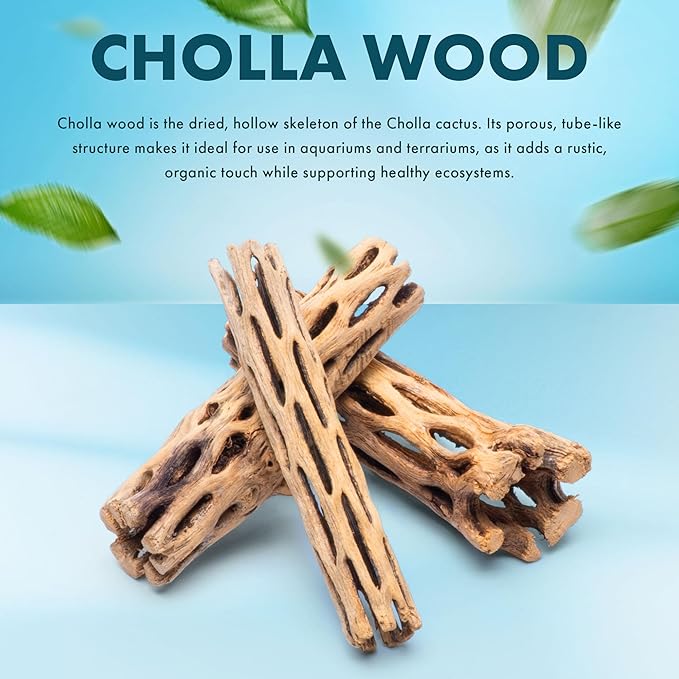 SubstrateSource Natural Cholla Wood - Driftwood for Aquariums, Air Plant Base, Hermit Crab and Freshwater Shrimp Hideout, Fish Tank Decoration, Chinchilla Chews, Reptile Habitat Wood - 6 Inch, 5pc
