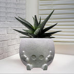 Smiling Plant Pot with Middle Fingers Up, Face Planter Pot Resin Flower Planters for Indoor Outdoor Plants Succulent Pots for String of Pearls Plant Live Gift Ideas for Mother (White)